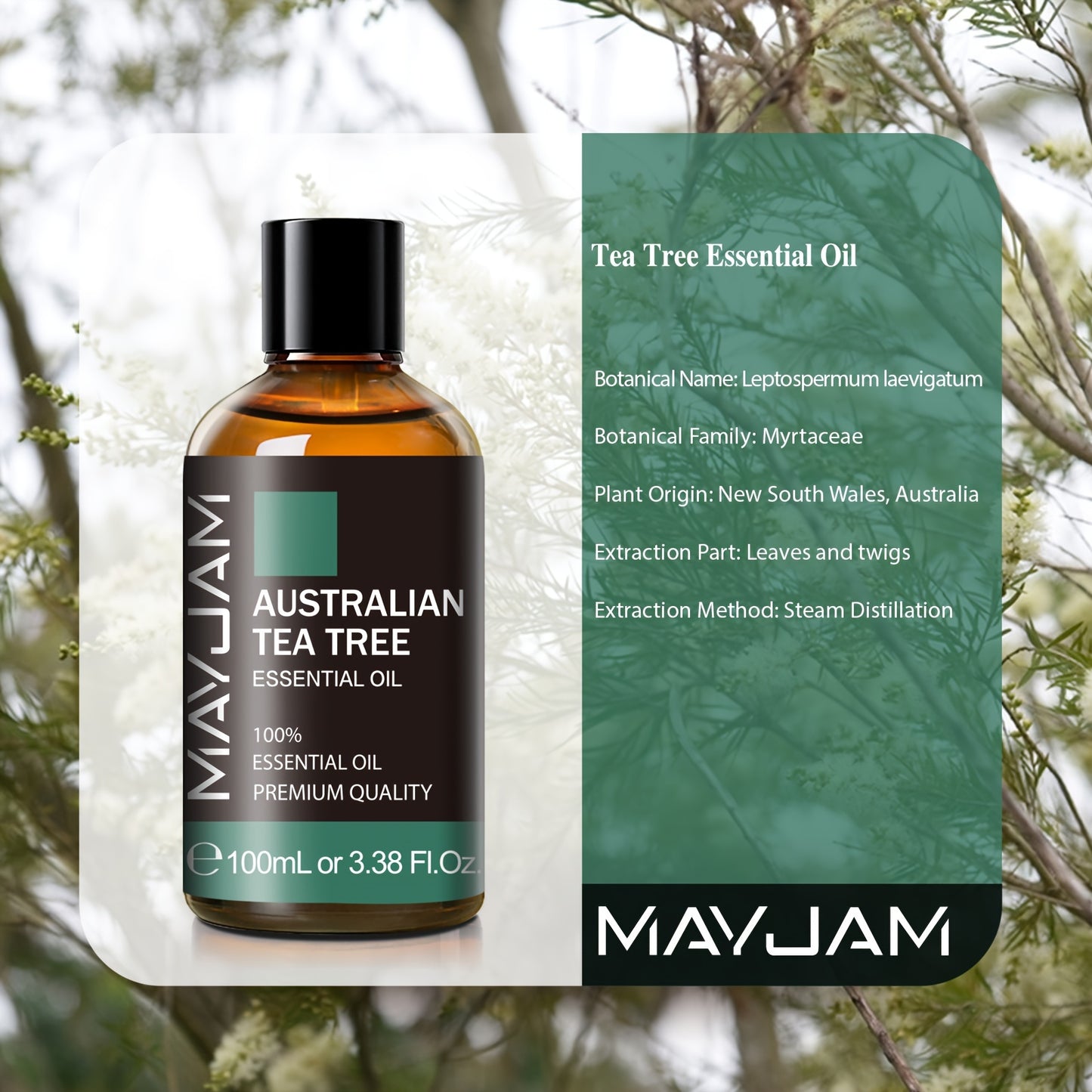 MAYJAM 1pc 100ml/3.38Fl.Oz Australian Tea Tree Essential Oils For Reed Diffusers Humidifier